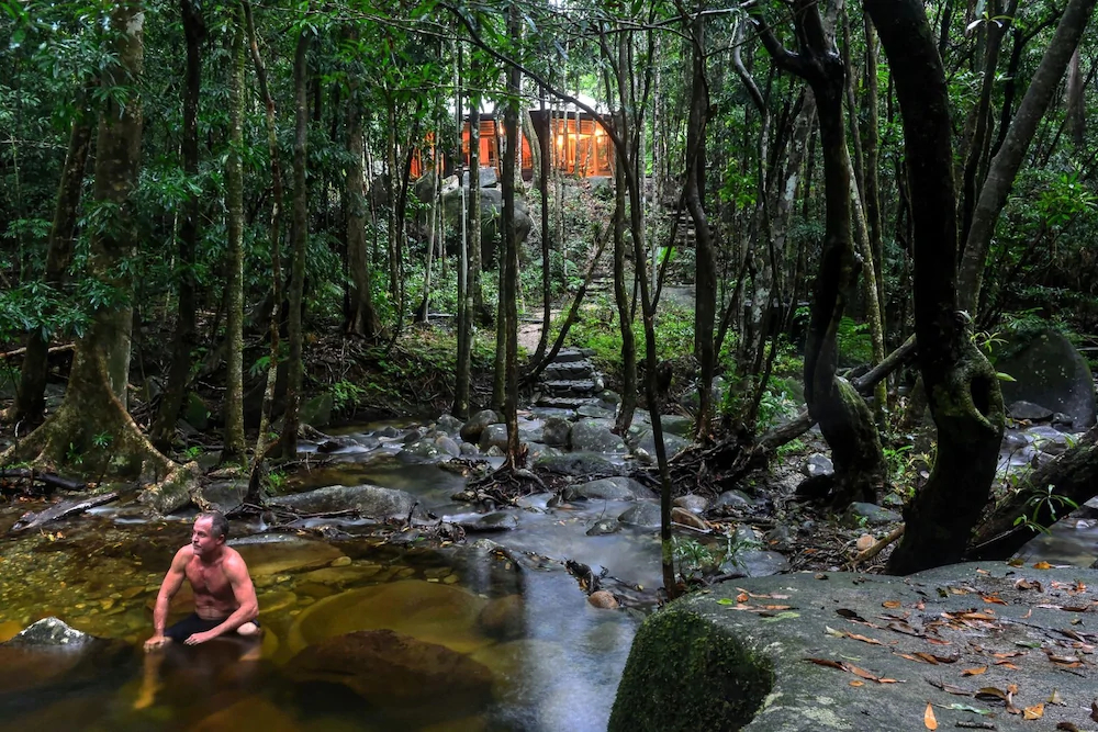 Daintree Cascades
