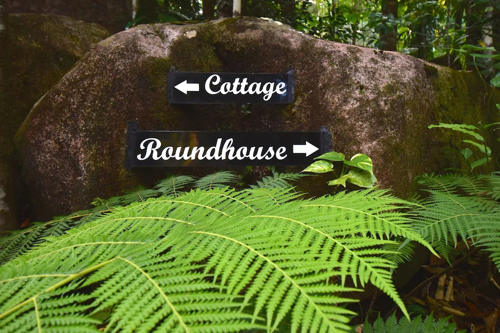 Daintree Cascades
