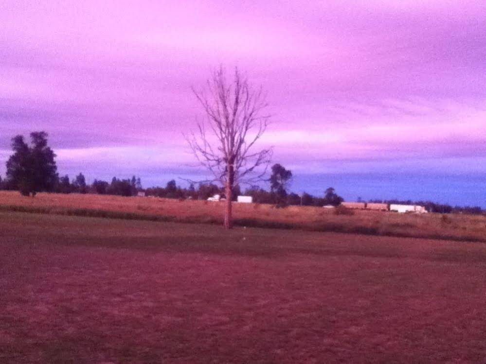 Riverdell Park Accommodation Bed & Breakfast