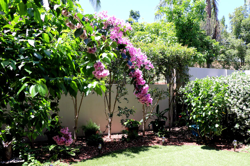 Papillon Villas Coolum