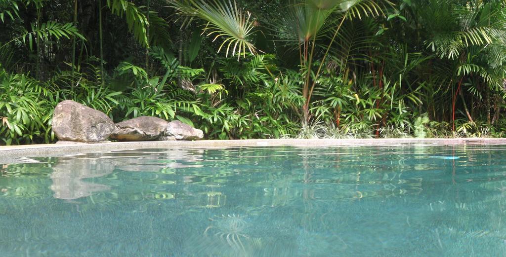 Daintree Rainforest Retreat
