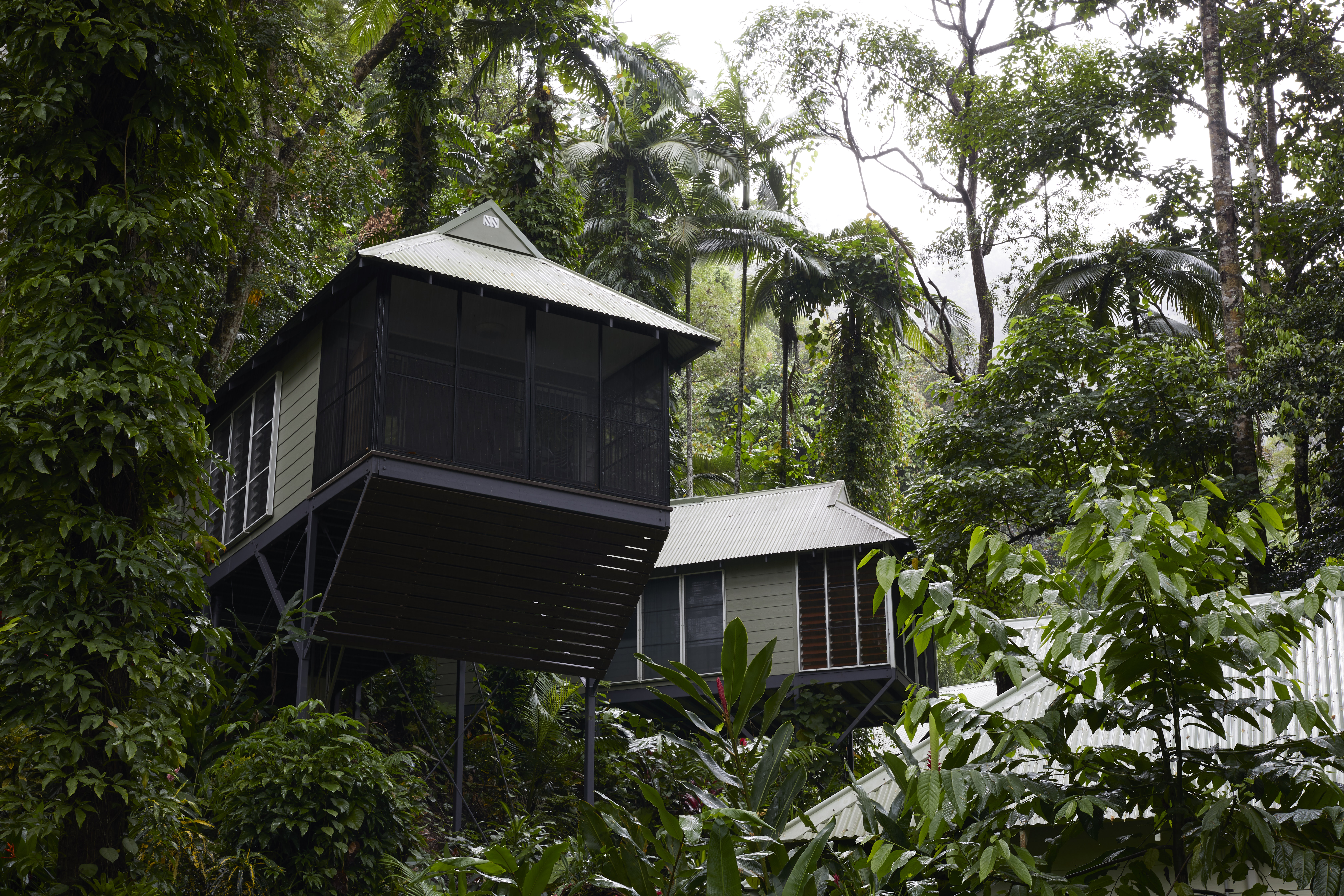 Daintree Ecolodge