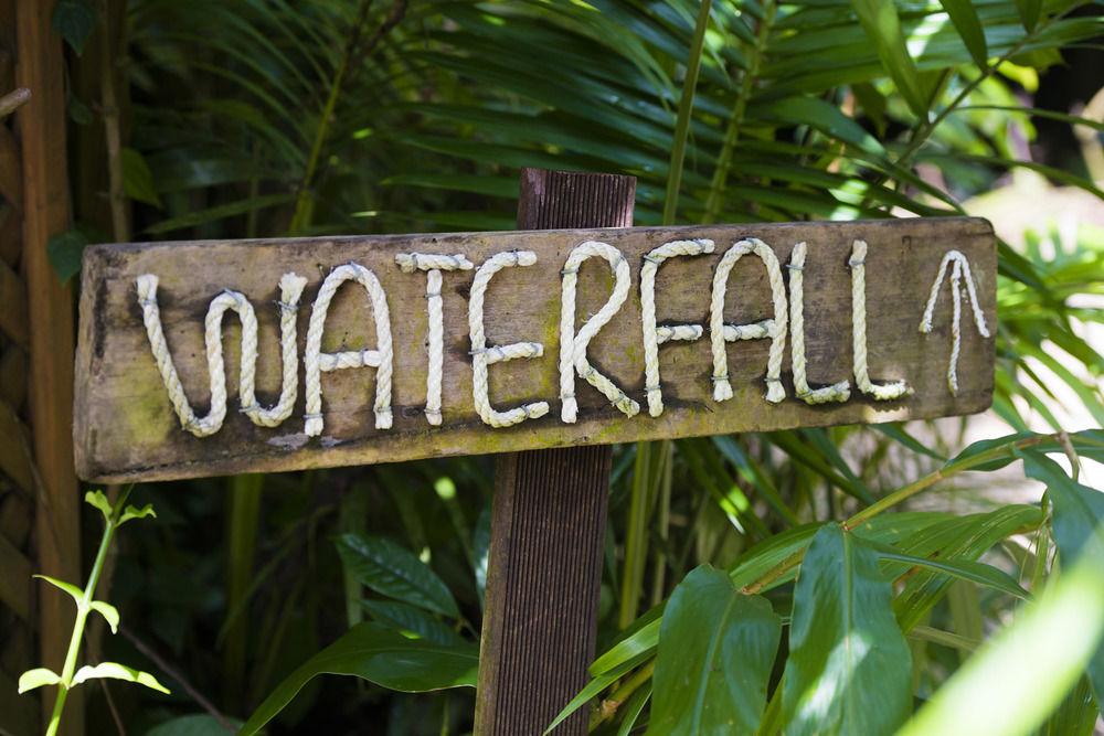 Daintree Ecolodge