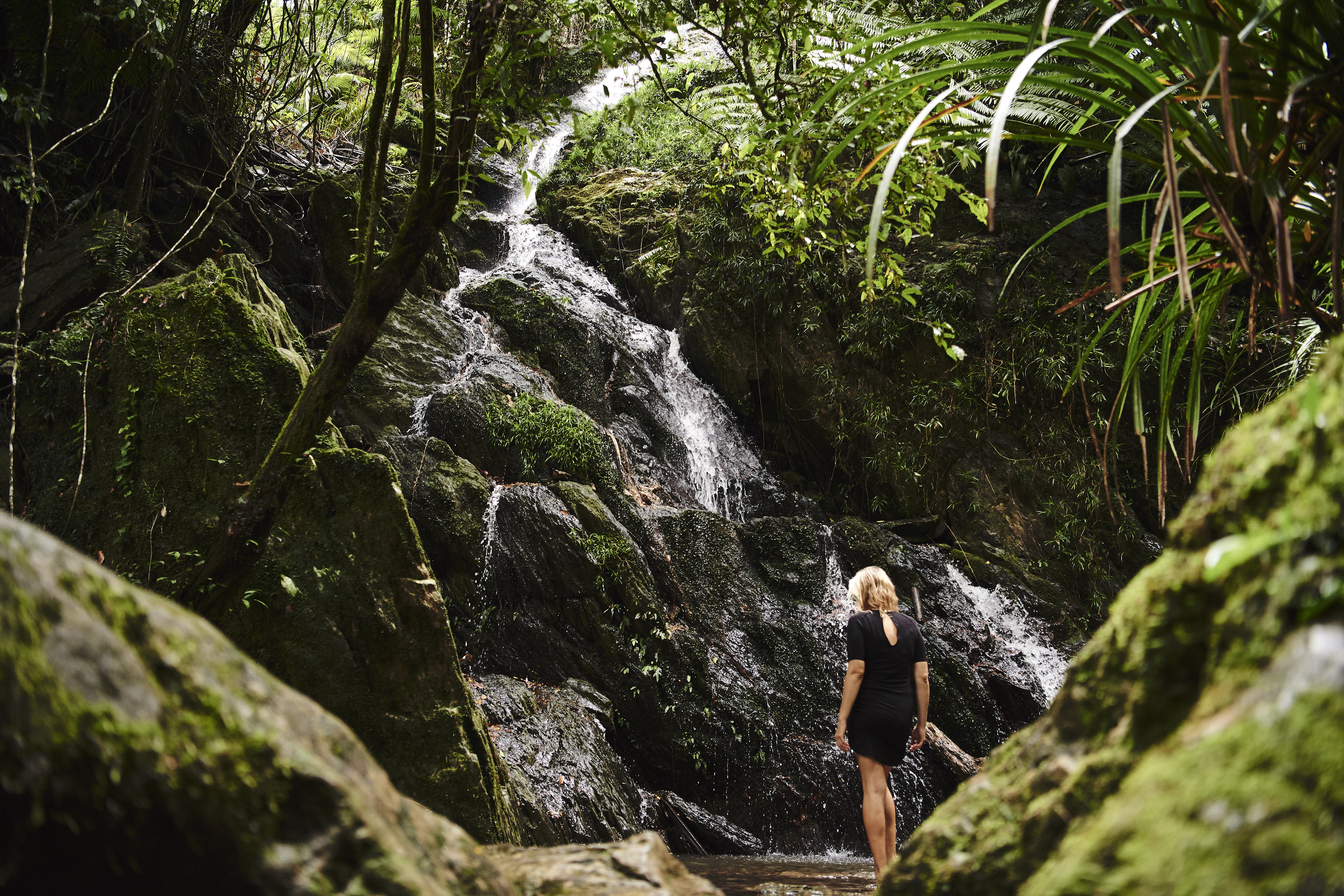 Daintree Ecolodge