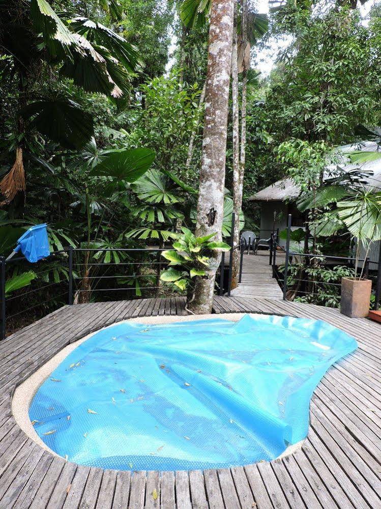 Daintree Wilderness Lodge