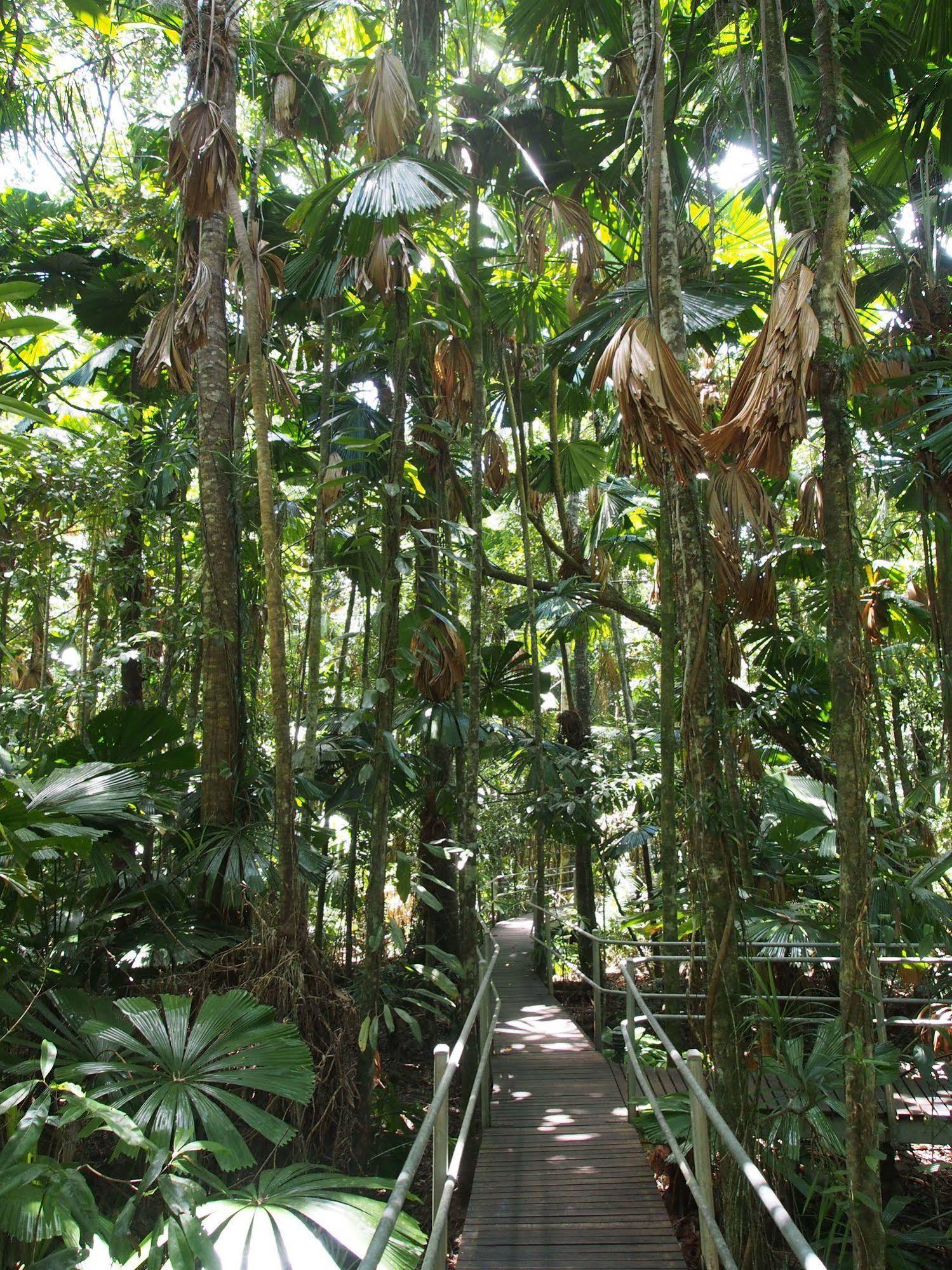 Daintree Wilderness Lodge