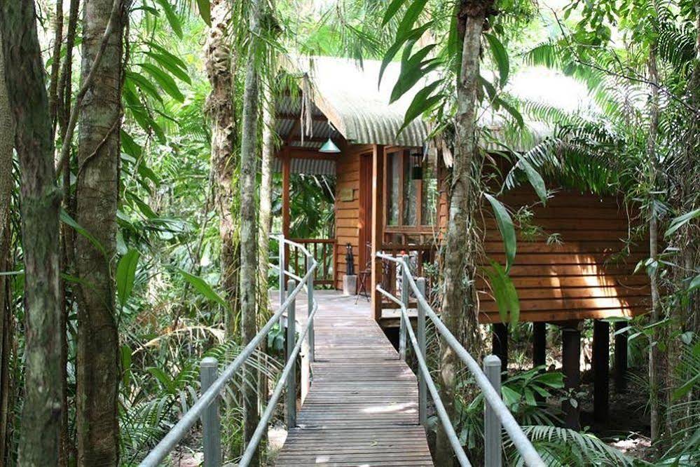 Daintree Wilderness Lodge