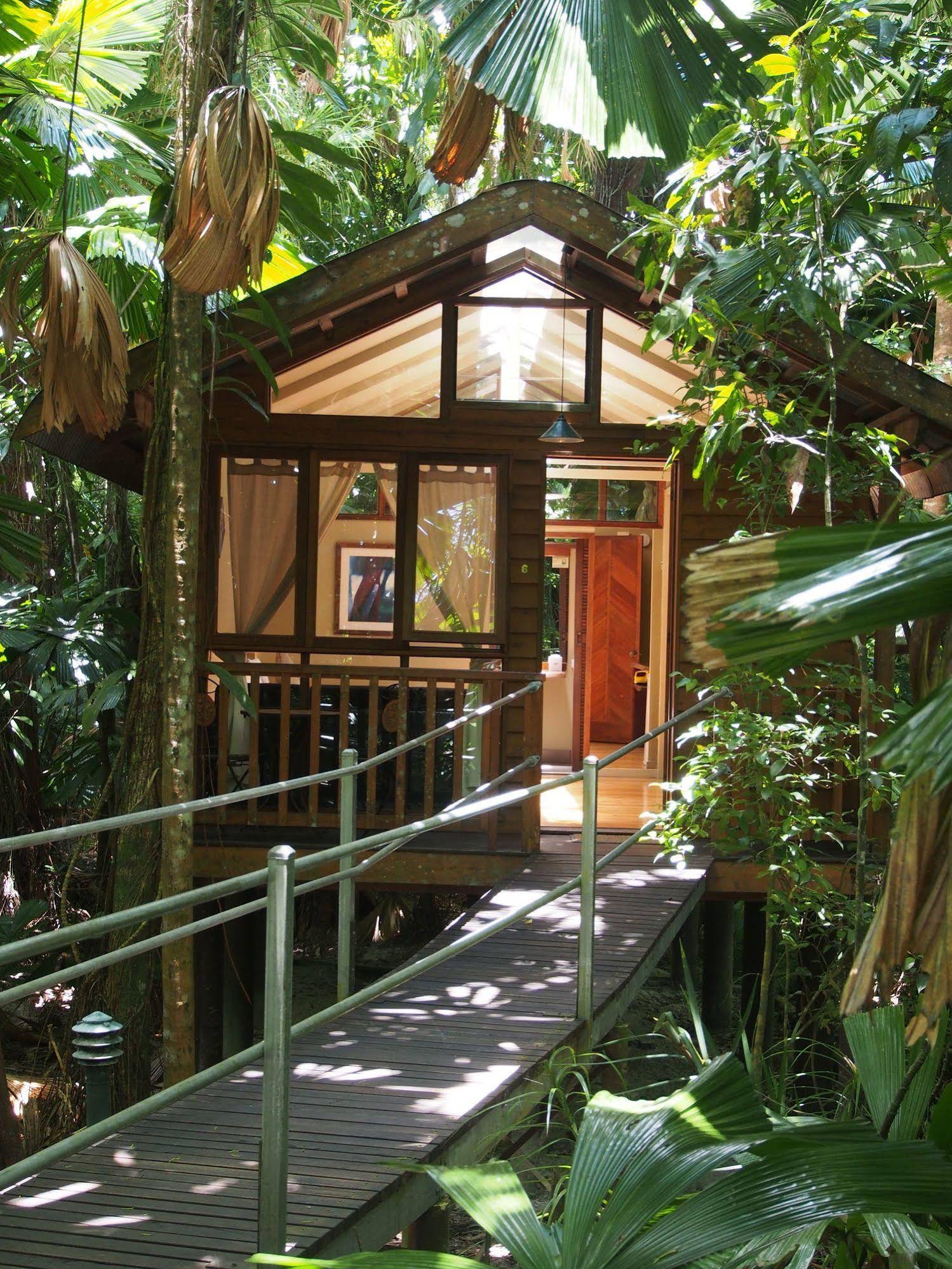 Daintree Wilderness Lodge