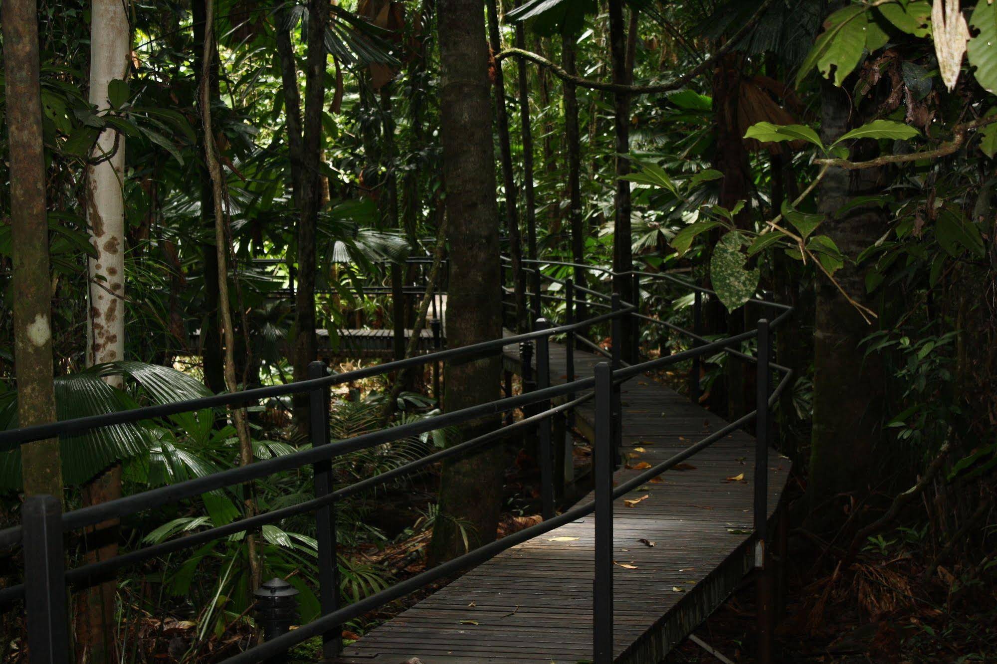 Daintree Wilderness Lodge