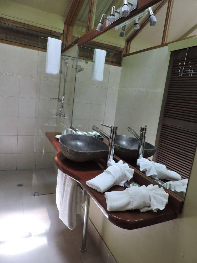 Daintree Wilderness Lodge