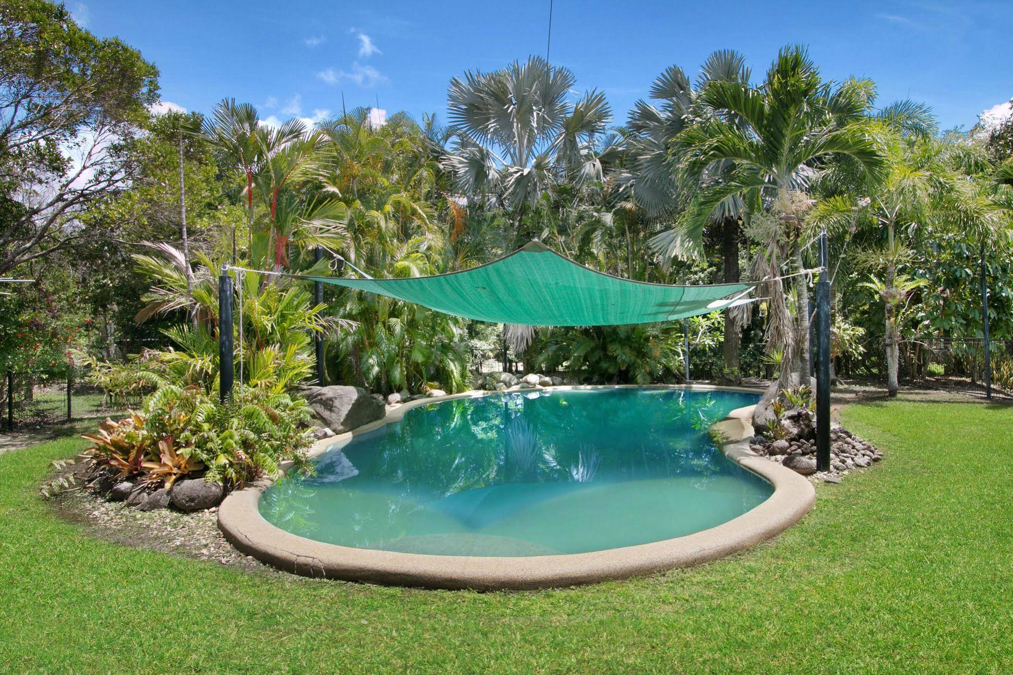 Daintree Wild Bed & Breakfast