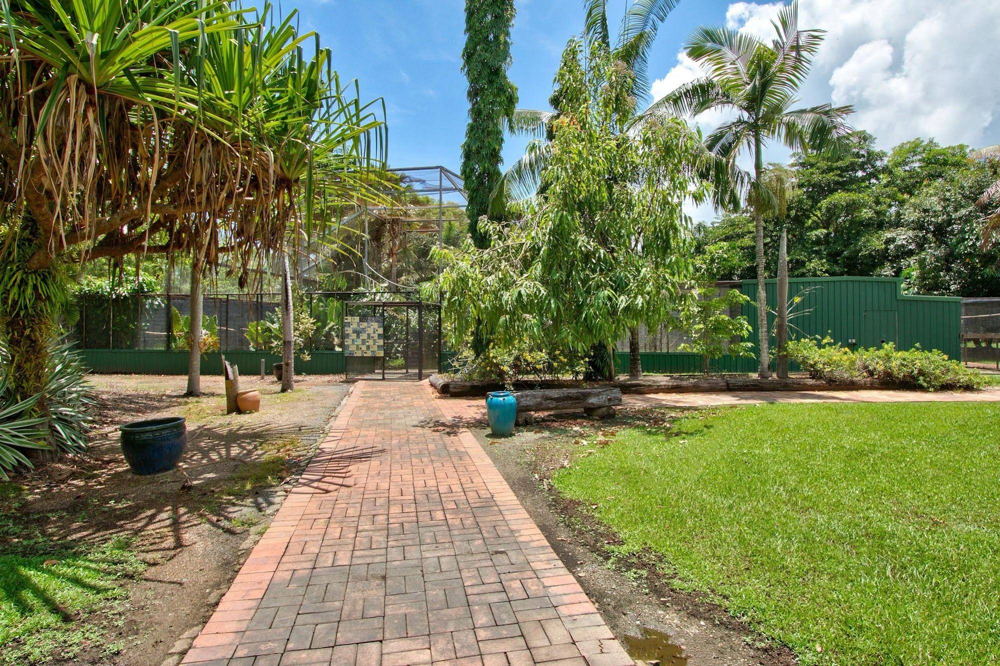 Daintree Wild Bed & Breakfast