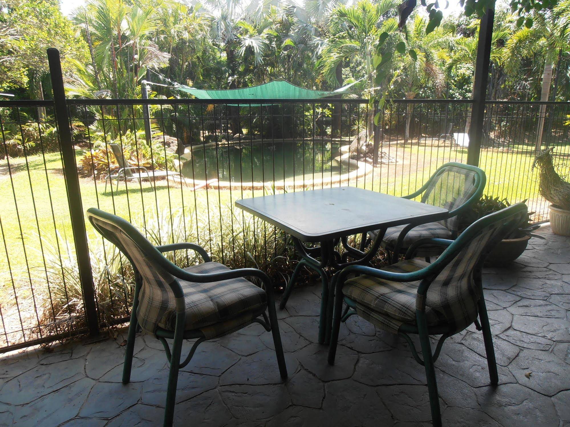 Daintree Wild Bed & Breakfast