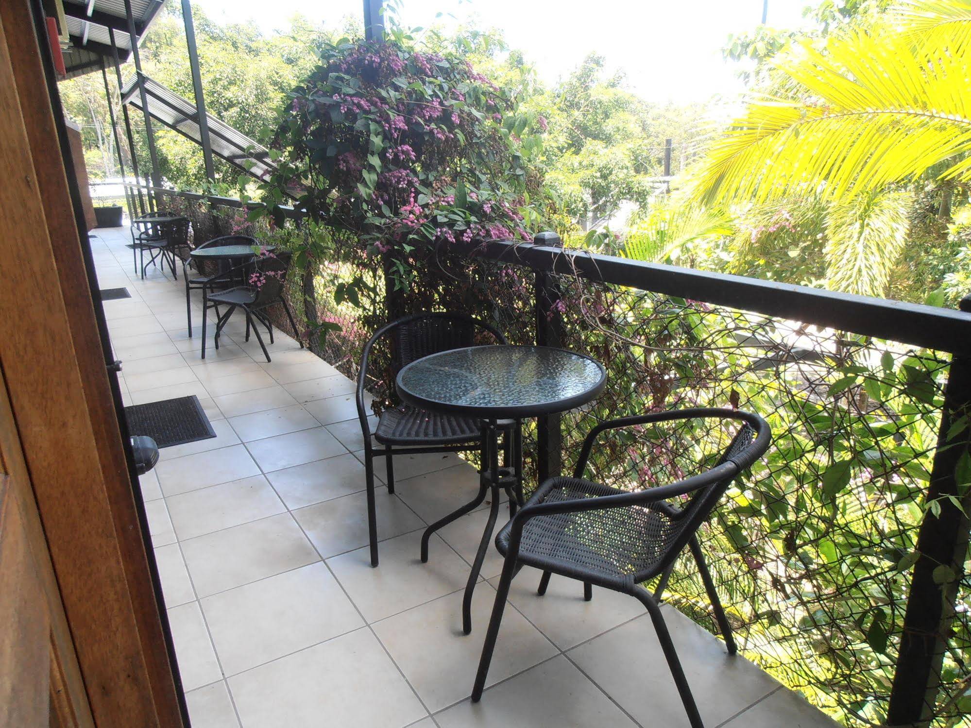 Daintree Wild Bed & Breakfast