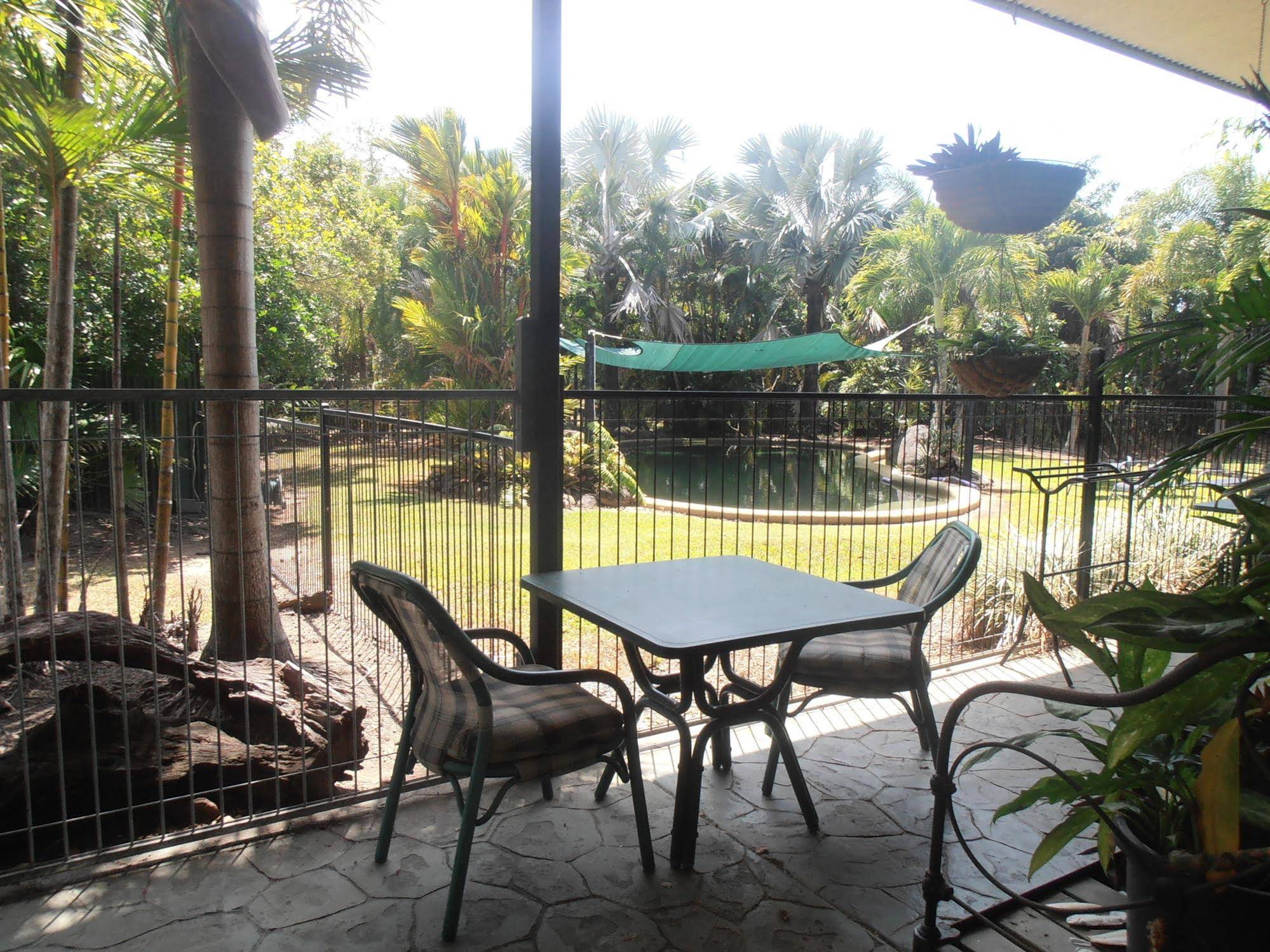 Daintree Wild Bed & Breakfast