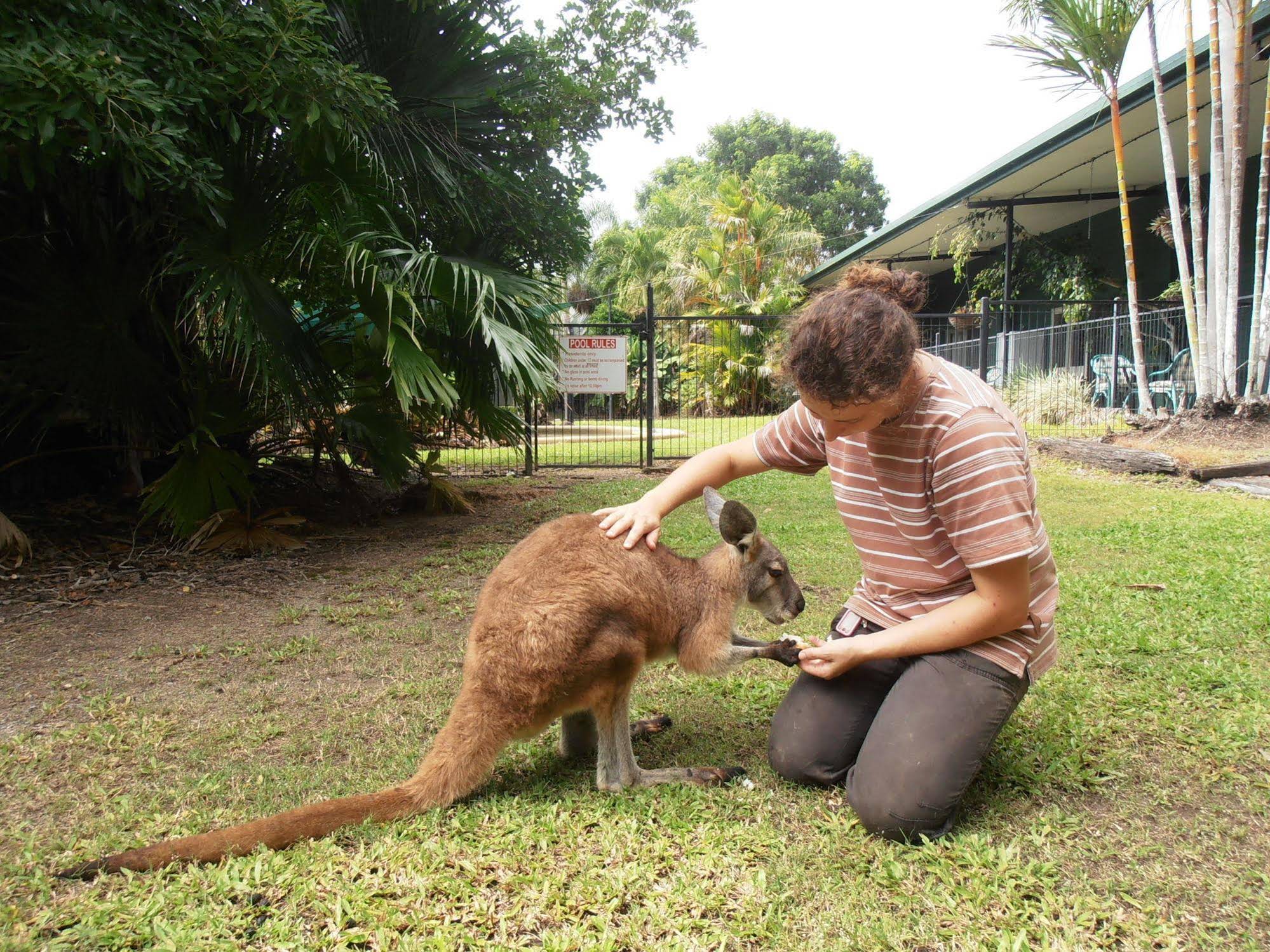 Daintree Wild Bed & Breakfast