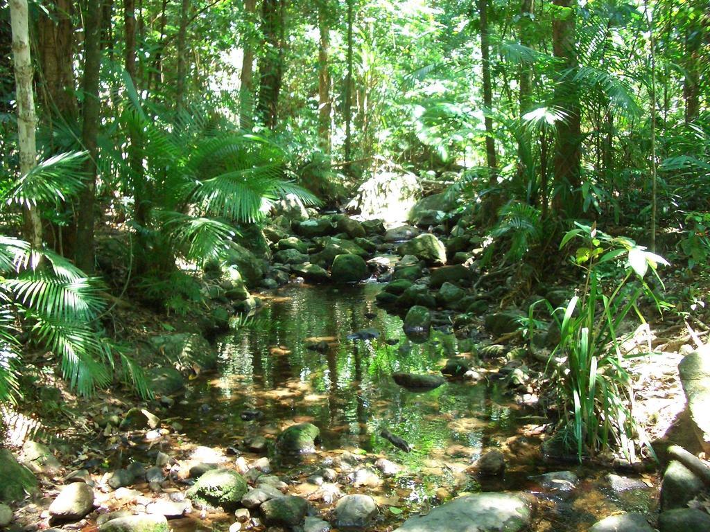 The Epiphyte Bed & Breakfast