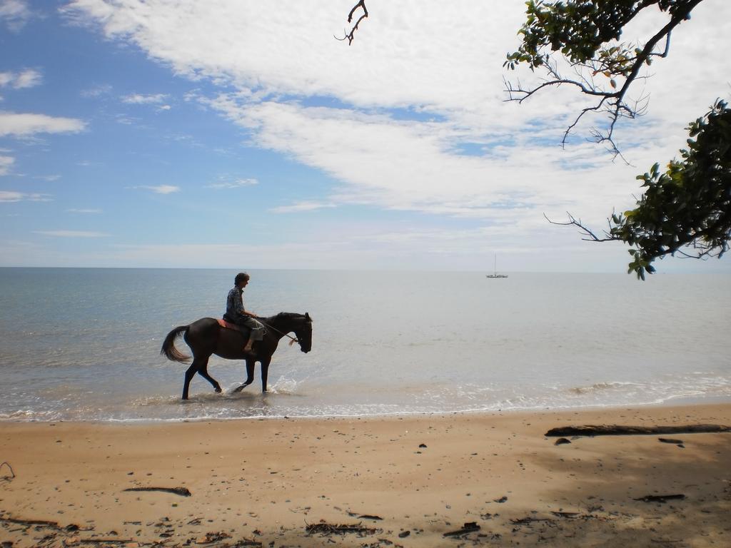 The Epiphyte Bed & Breakfast