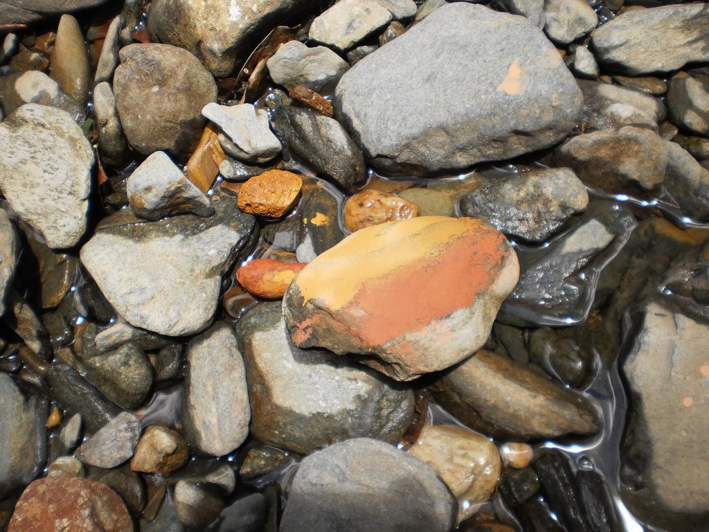 The Epiphyte Bed & Breakfast