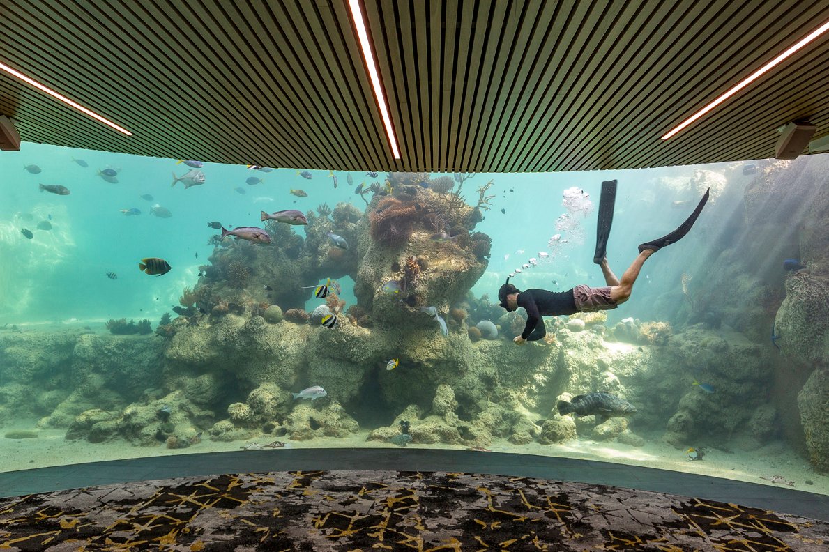 Daydream Island Resort