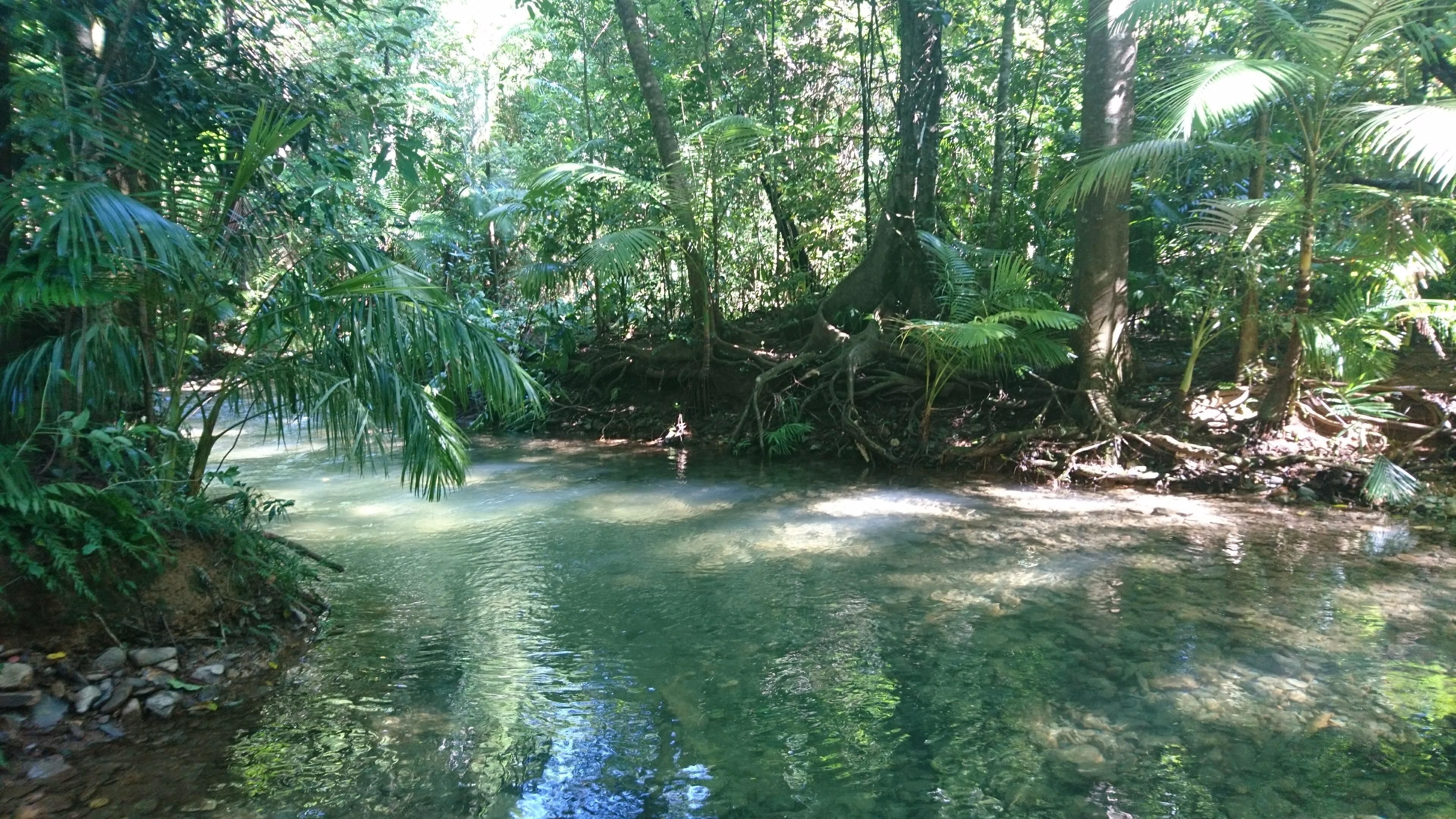 Daintree Peaks Eco Stays