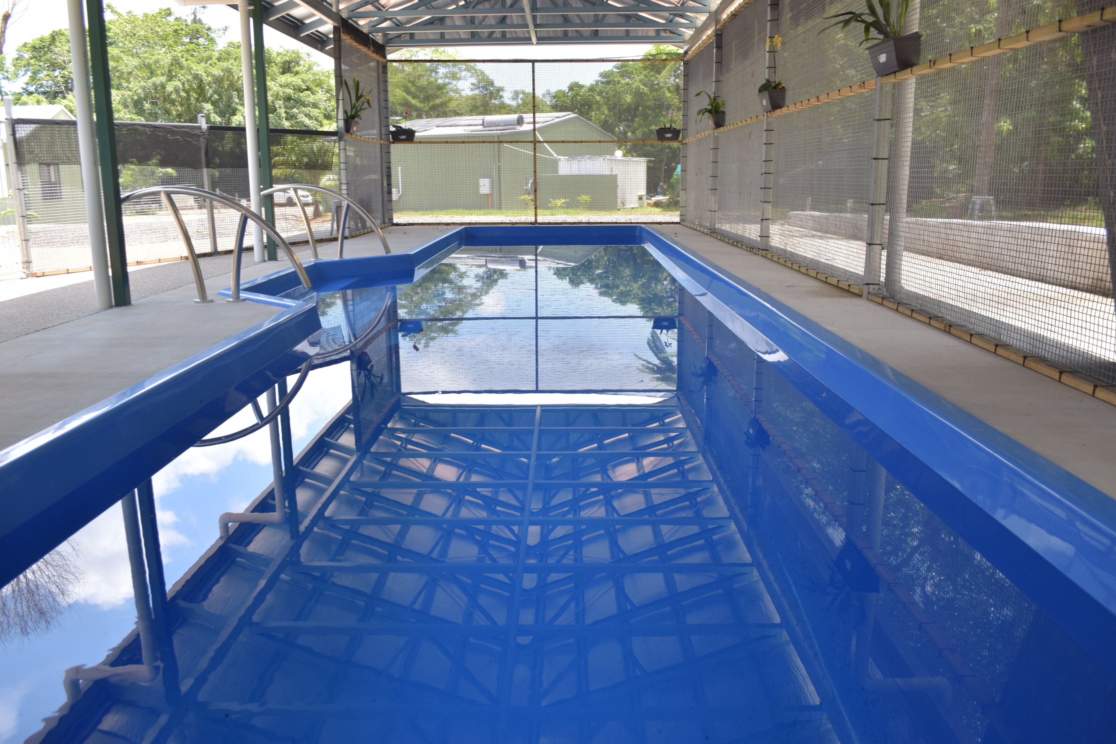 Daintree Peaks Eco Stays