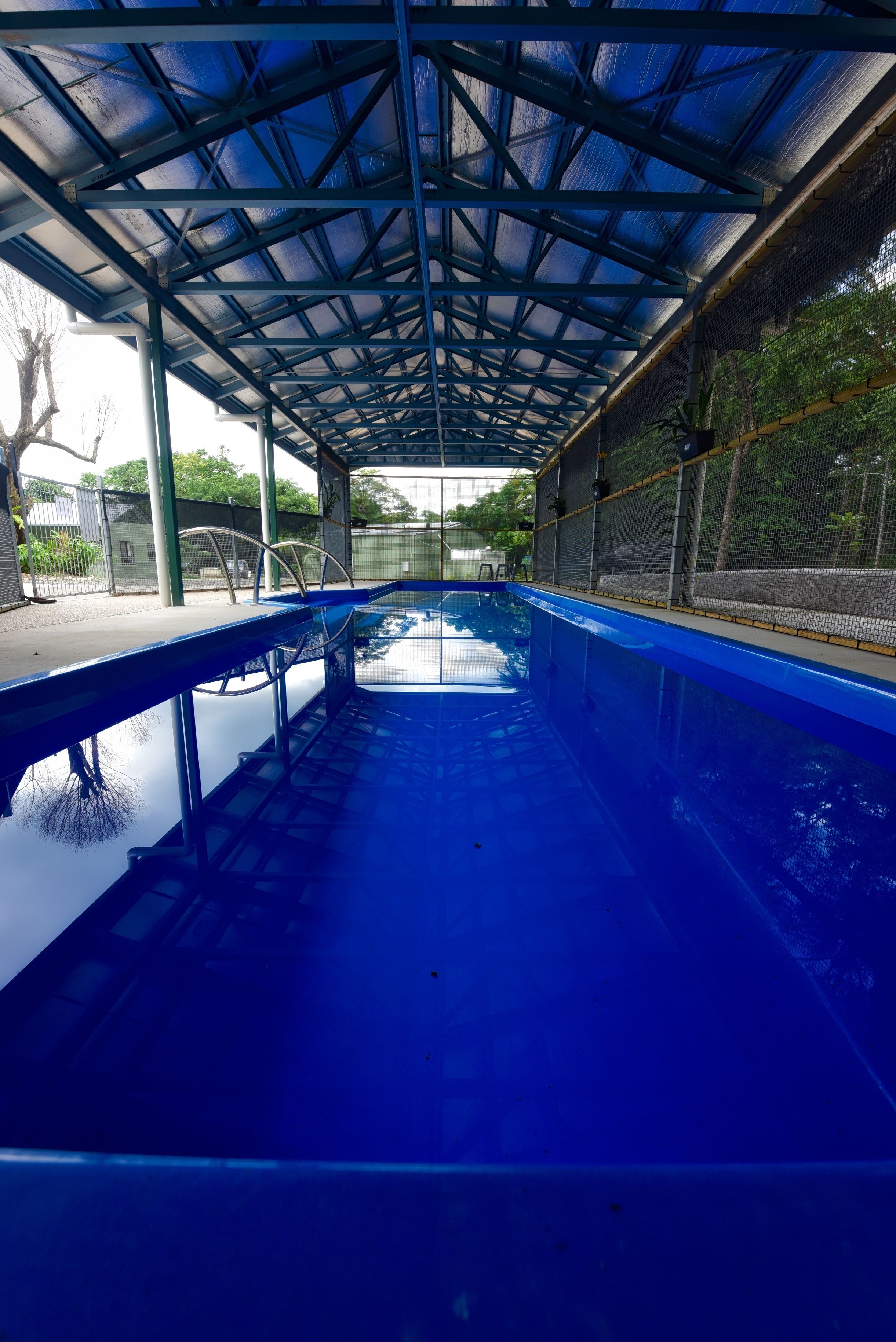 Daintree Peaks Eco Stays