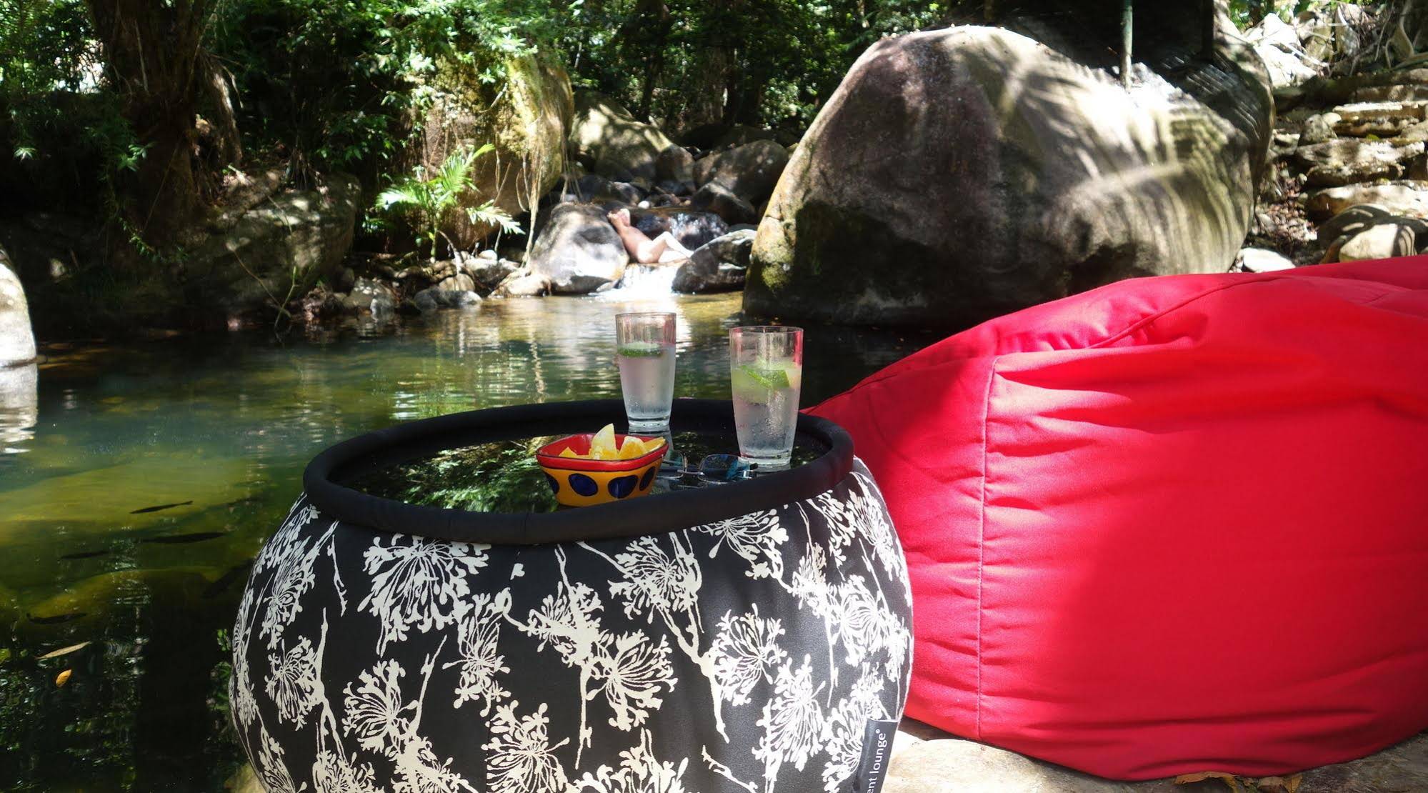 Daintree Secrets Rainforest Sanctuary