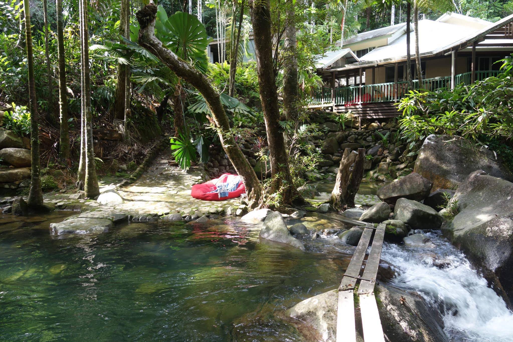 Daintree Secrets Rainforest Sanctuary