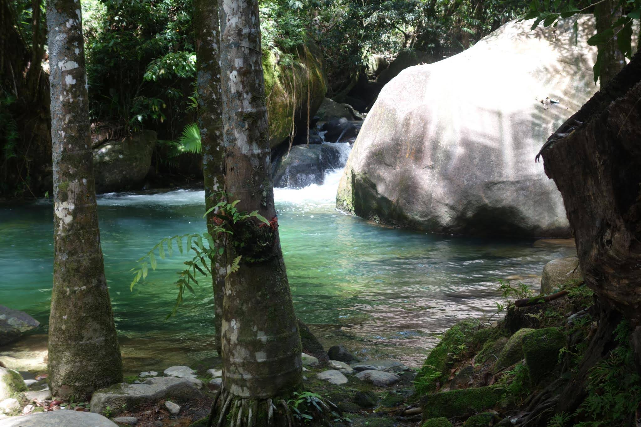 Daintree Secrets Rainforest Sanctuary