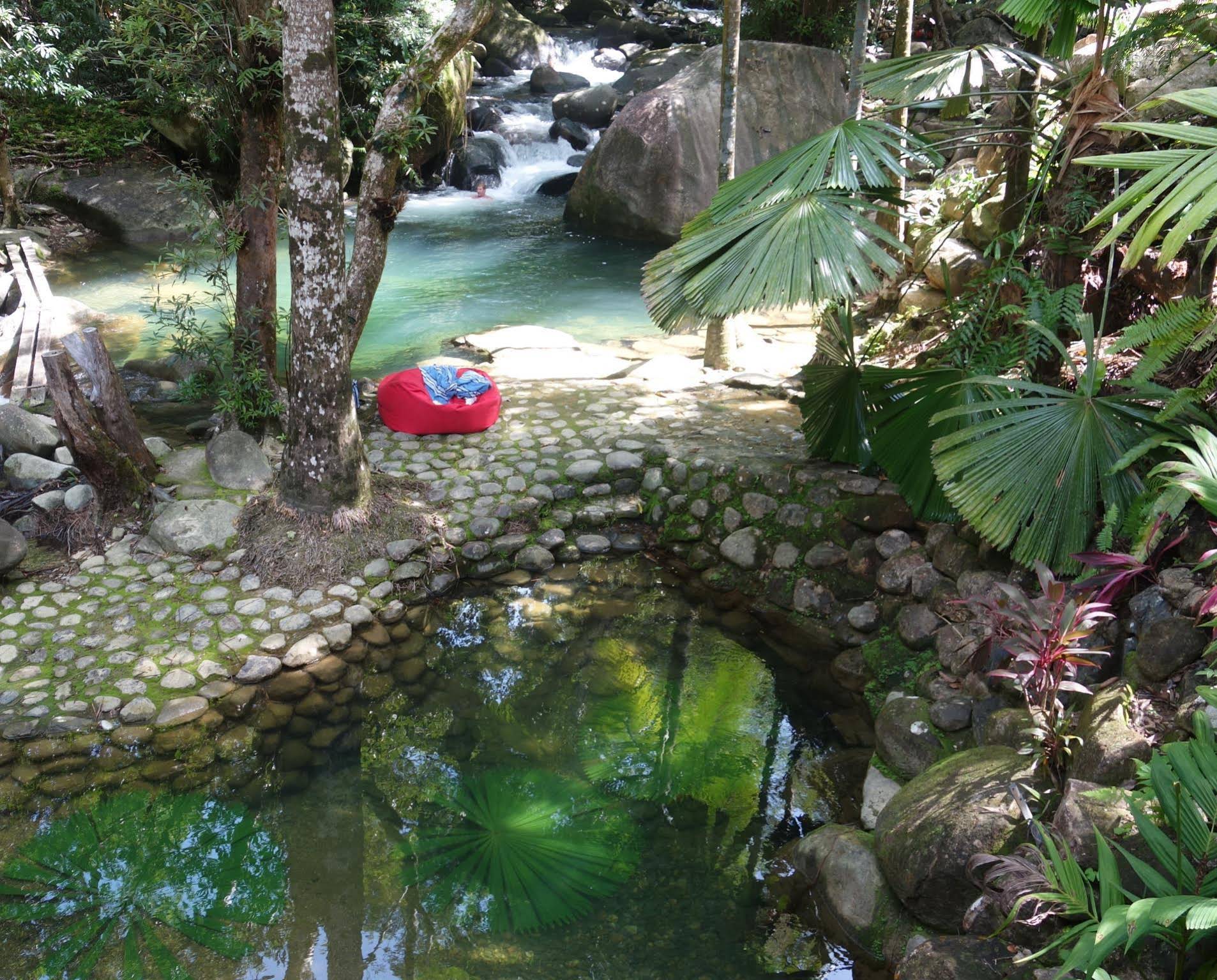 Daintree Secrets Rainforest Sanctuary
