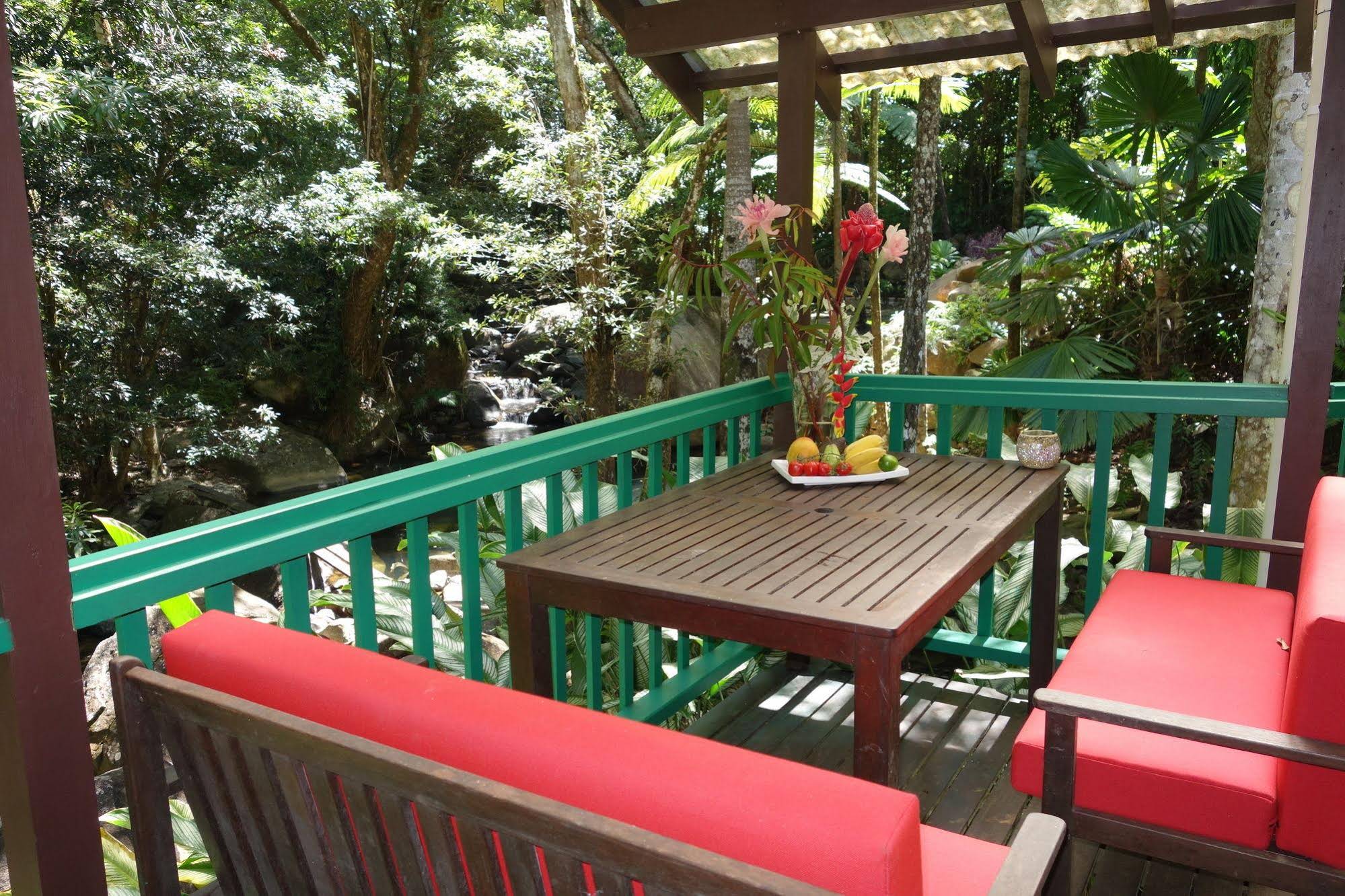 Daintree Secrets Rainforest Sanctuary