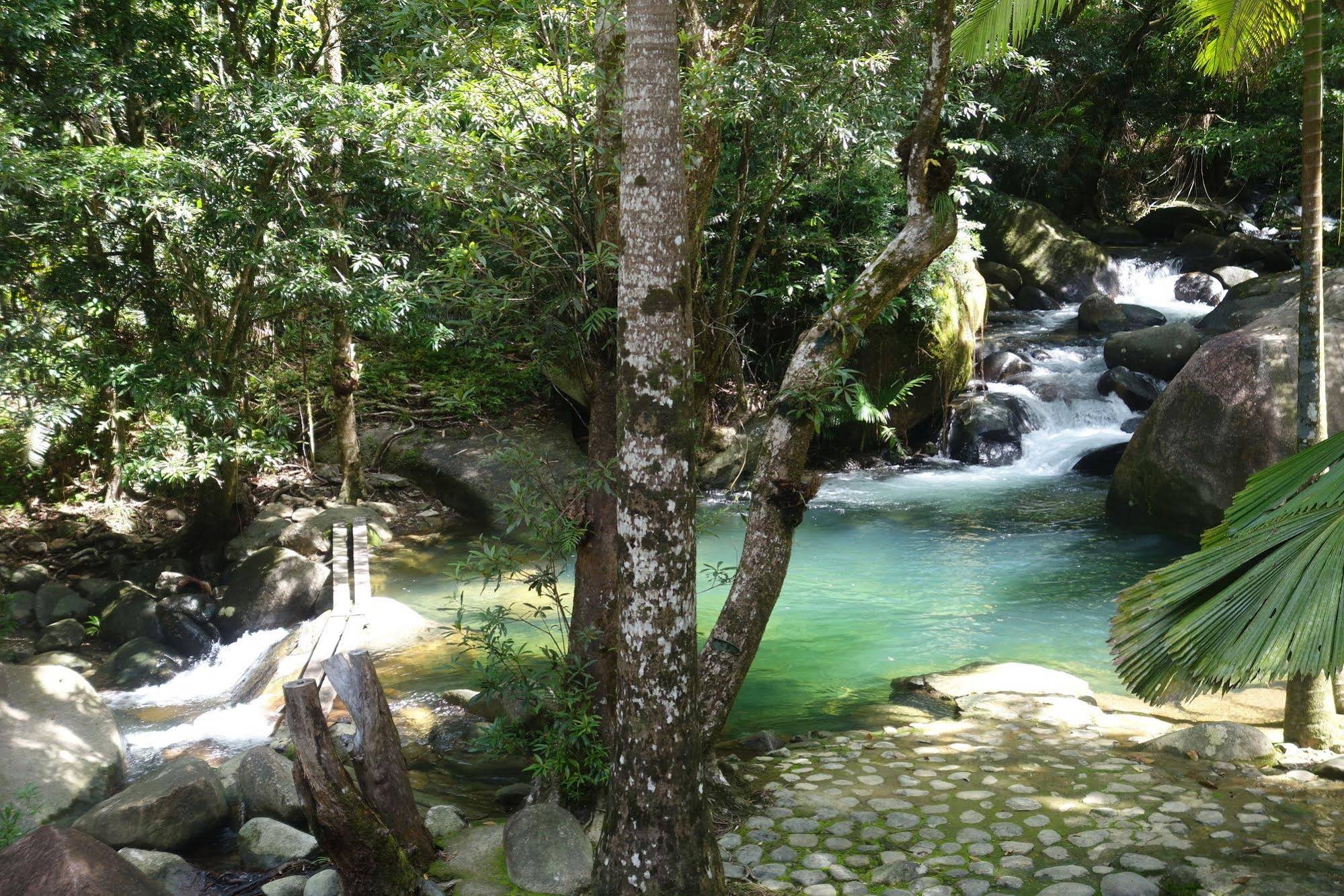 Daintree Secrets Rainforest Sanctuary