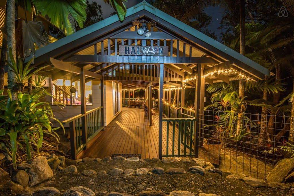 Daintree Secrets Rainforest Sanctuary