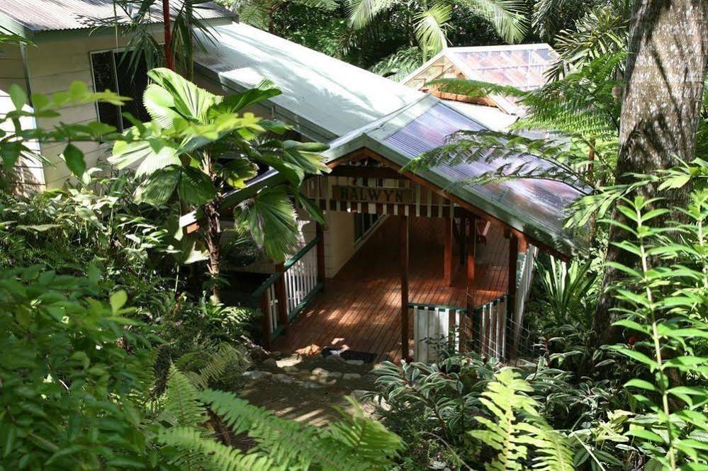 Daintree Secrets Rainforest Sanctuary