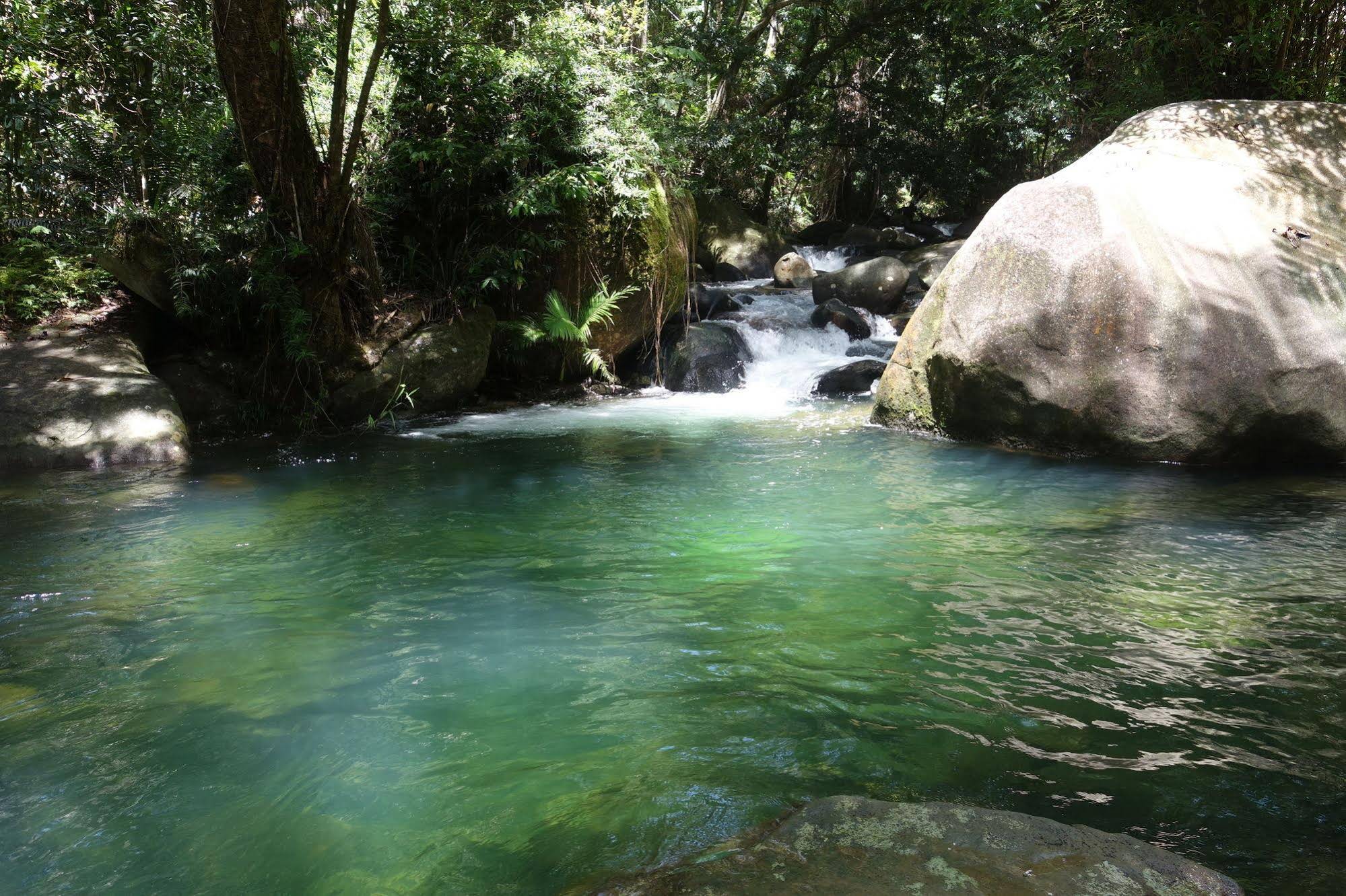 Daintree Secrets Rainforest Sanctuary