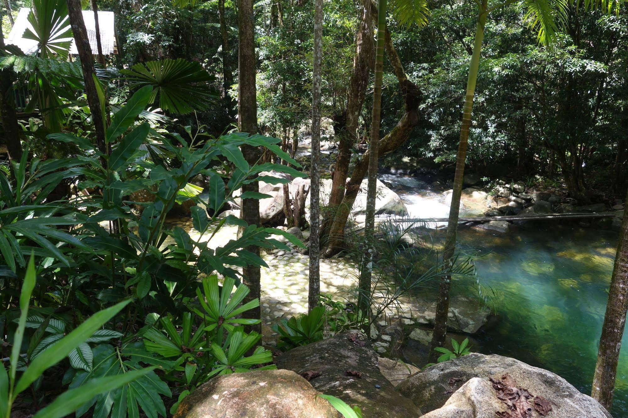 Daintree Secrets Rainforest Sanctuary