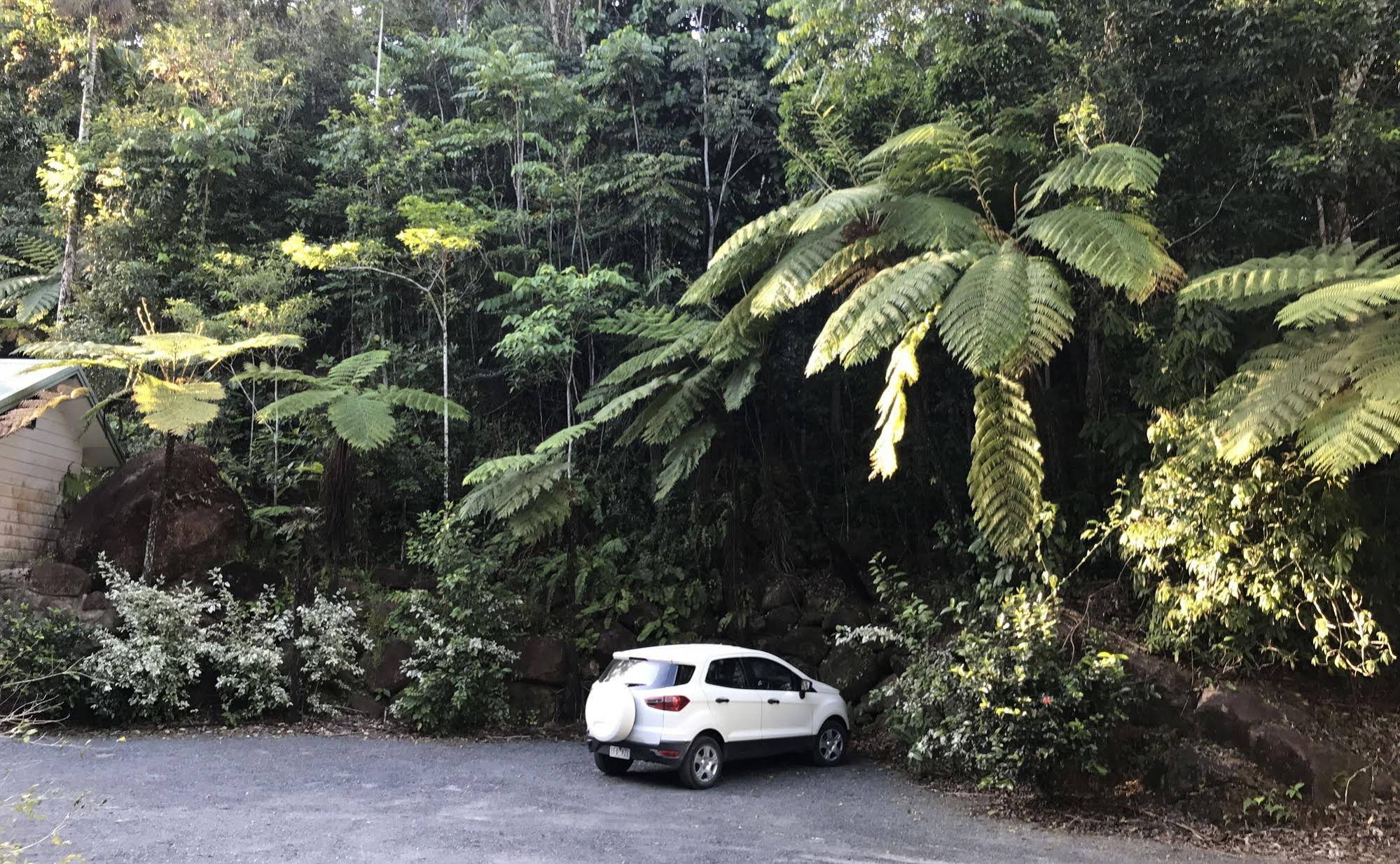Daintree Secrets Rainforest Sanctuary