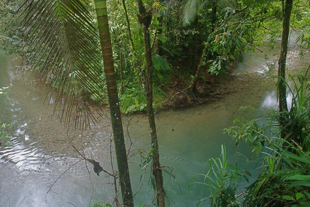 Heritage Lodge in the Daintree