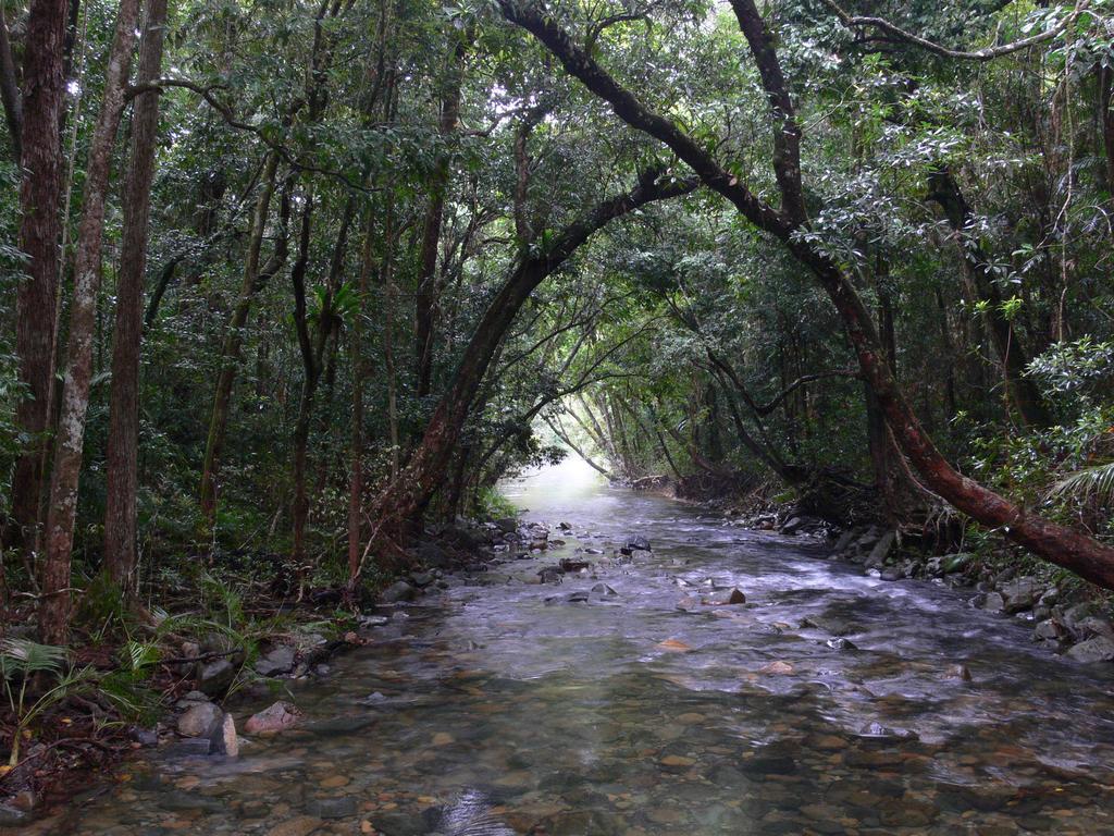 Heritage Lodge in the Daintree