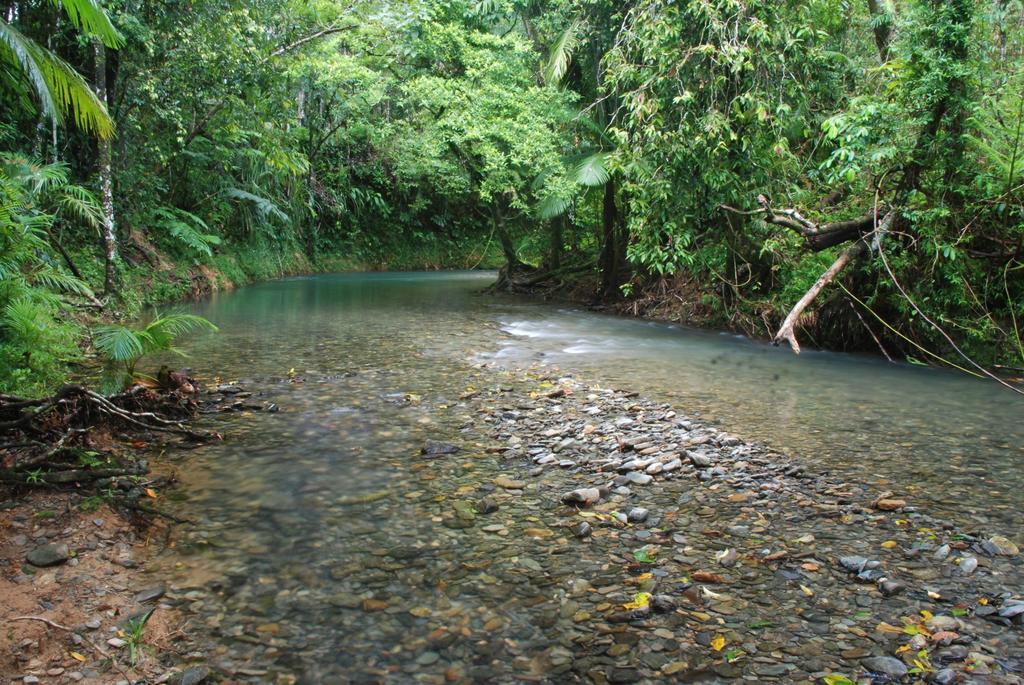 Heritage Lodge in the Daintree