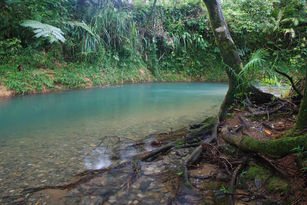 Heritage Lodge in the Daintree