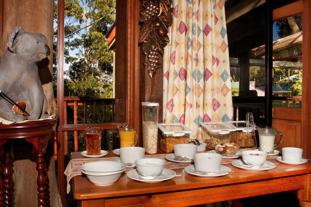 Tamborine Mountain Bed and Breakfast
