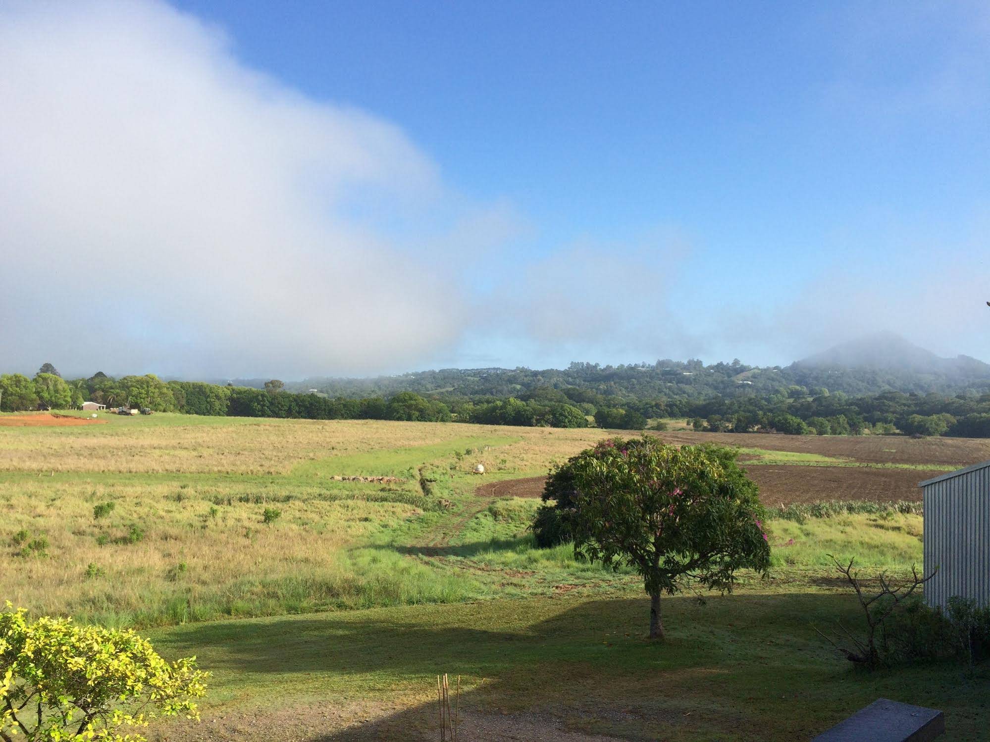 Eumundi Gridley Homestead B&B