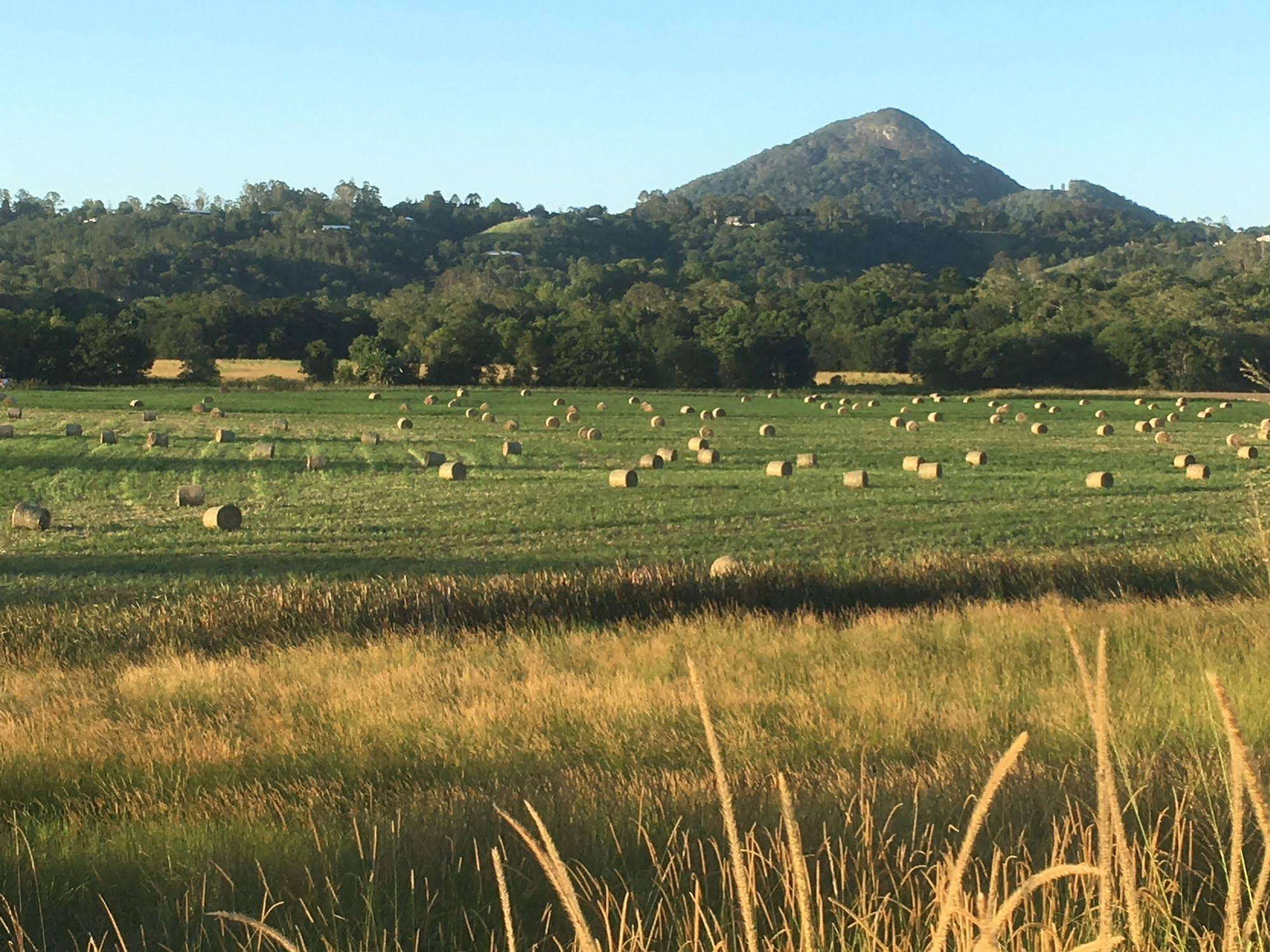 Eumundi Gridley Homestead B&B