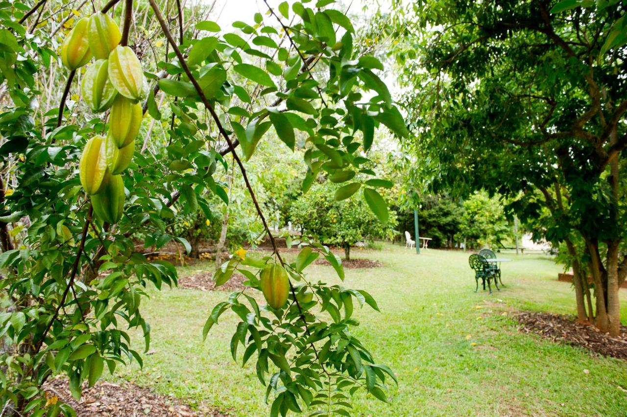 Glasshouse Mountains Ecolodge