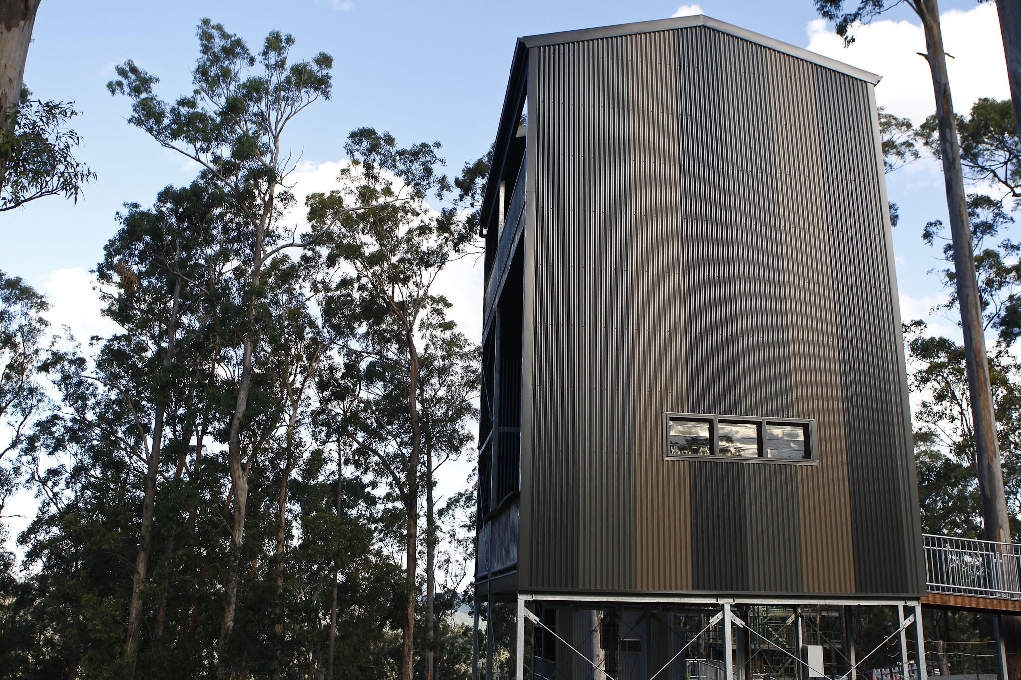 Gold Coast Tree Houses