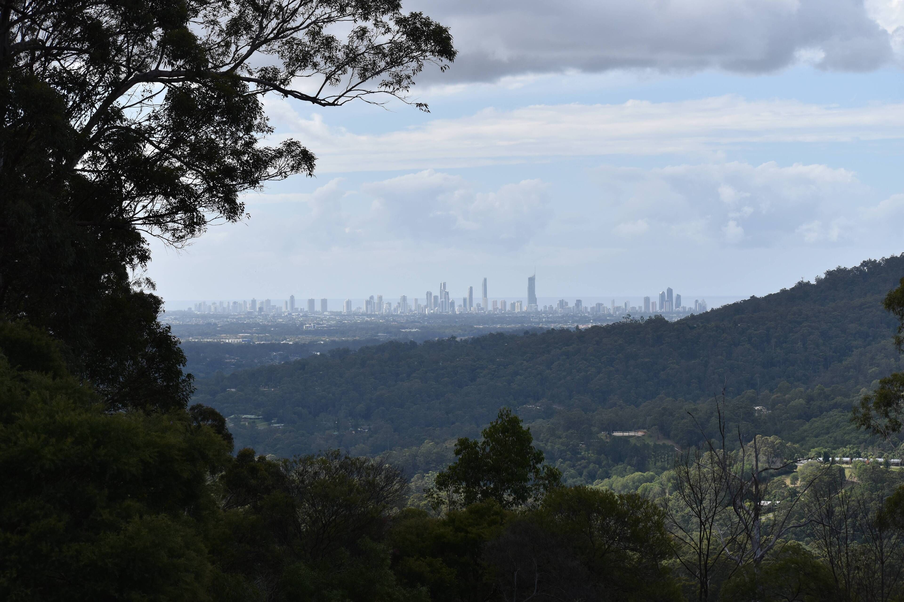 Gold Coast Tree Houses