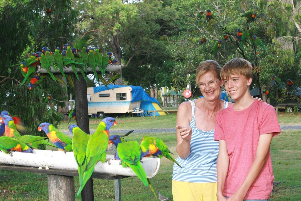 Jacobs Well Tourist Park