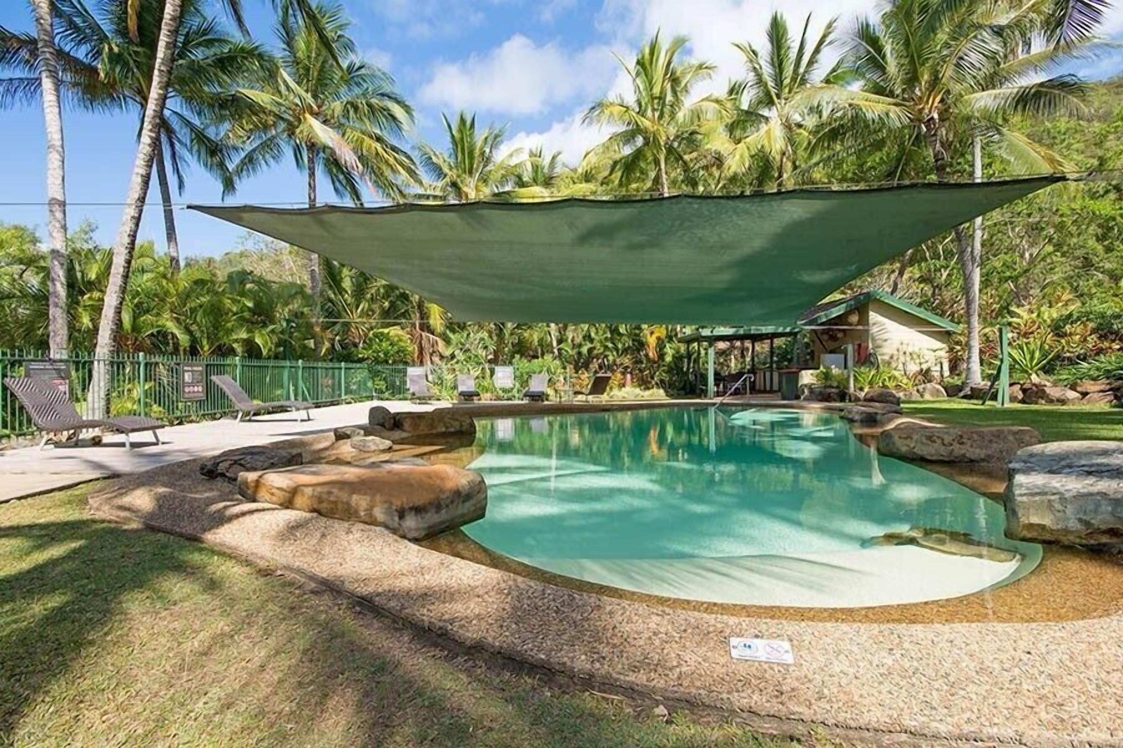 Frangipani